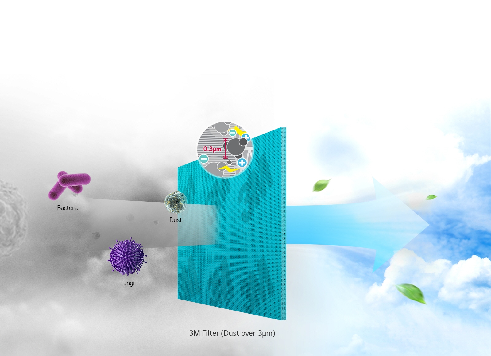 MICRO Protection Filter powered by 3M Tech